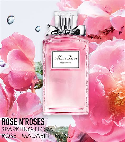 rose rose dior|Dior perfume rose.